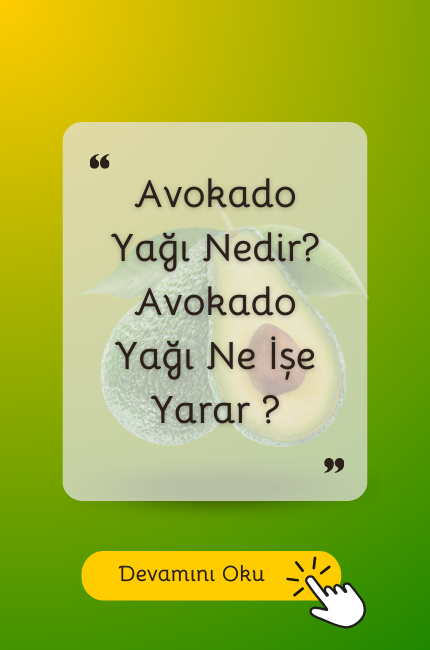 avokado yagi nedir ne ise yarar