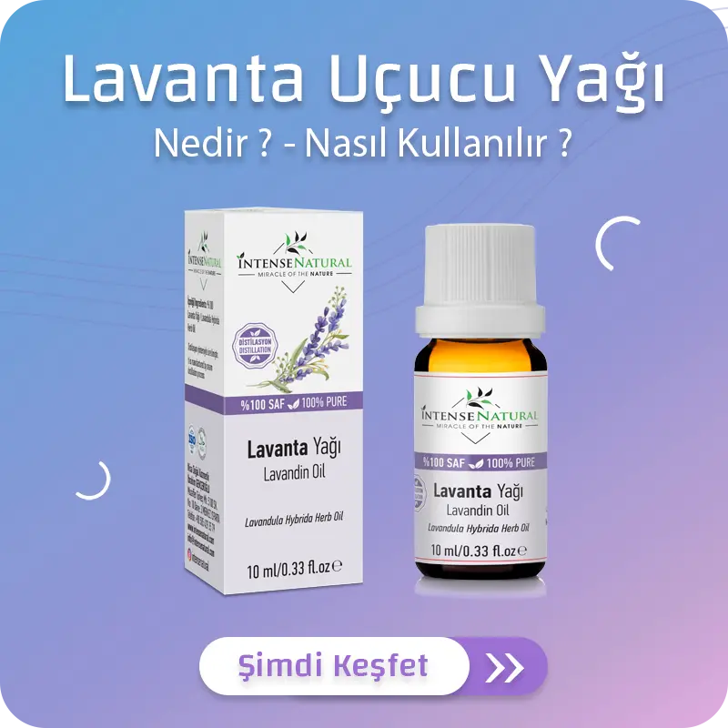 intense_natural_lavanta_yagi_1